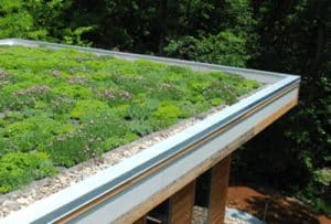 Adu-With-A-Green-Roof