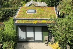 Adu-With-A-Green-Roof